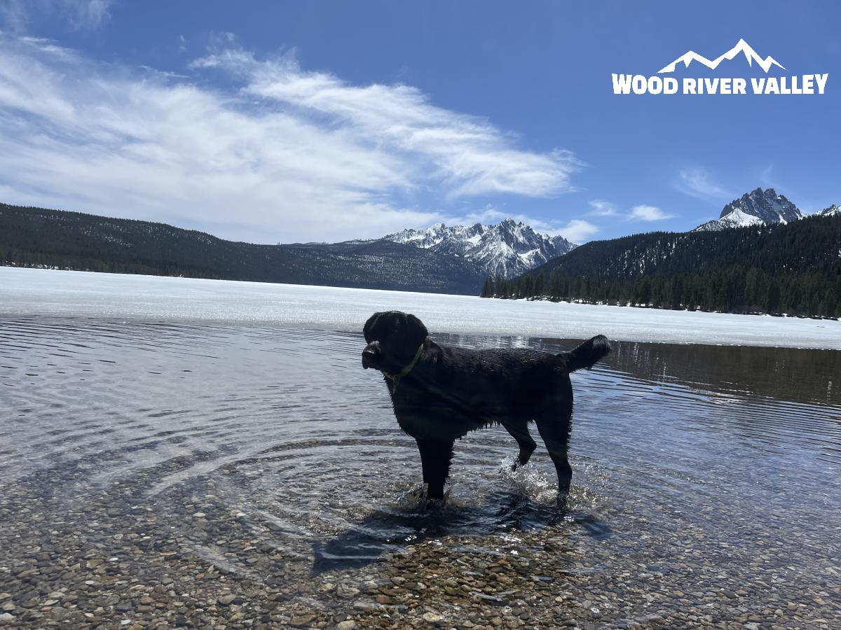 redfish lake in the spring